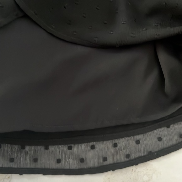 Anthropology Wishmaker Swiss Dot Open Blouse. - Picture 12 of 15